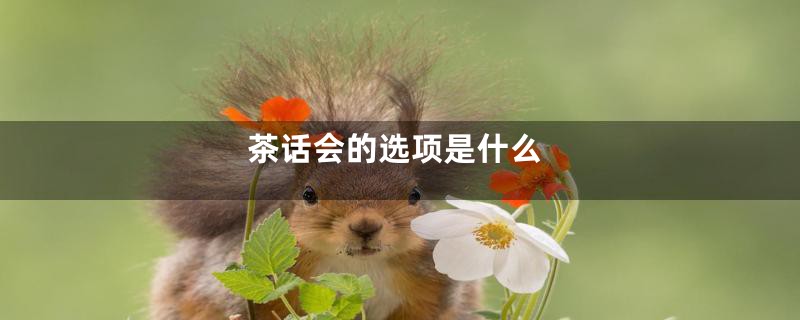 茶话会的选项是什么