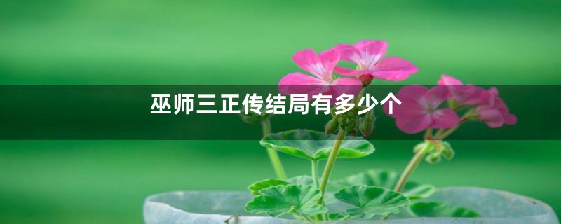 巫师三正传结局有多少个