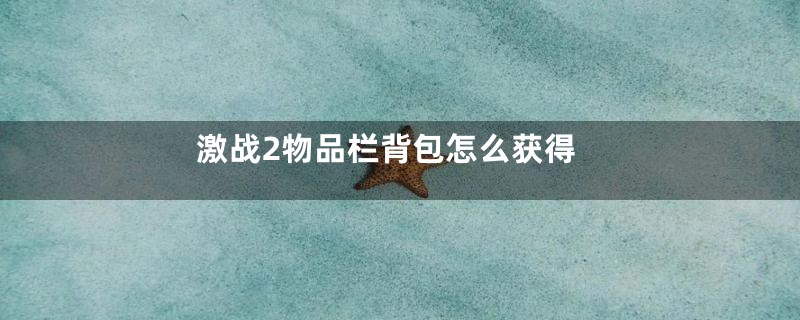 激战2物品栏背包怎么获得