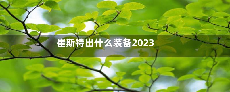 崔斯特出什么装备2023