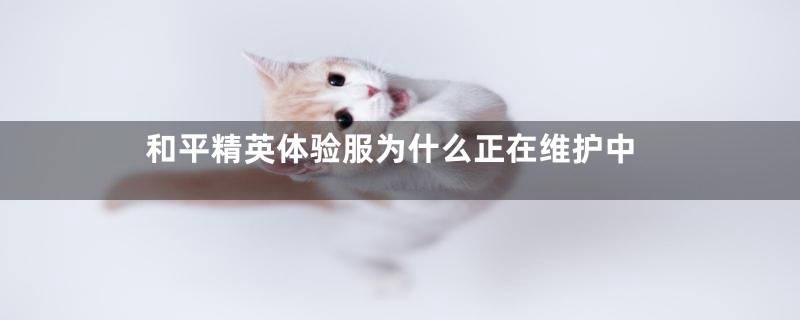 和平精英体验服为什么正在维护中