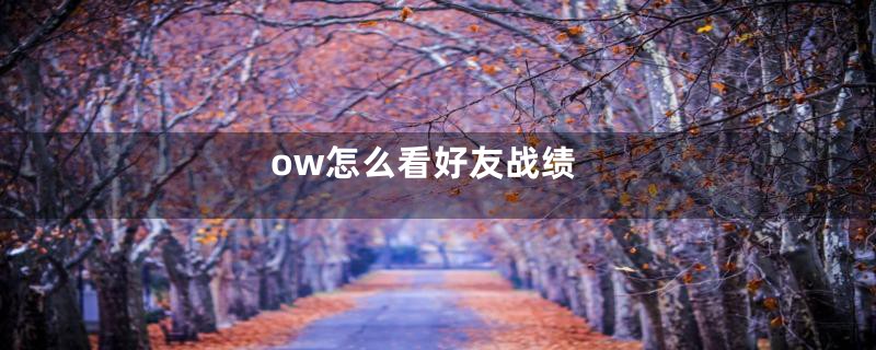 ow怎么看好友战绩