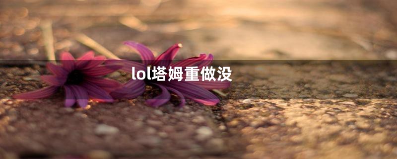 lol塔姆重做没