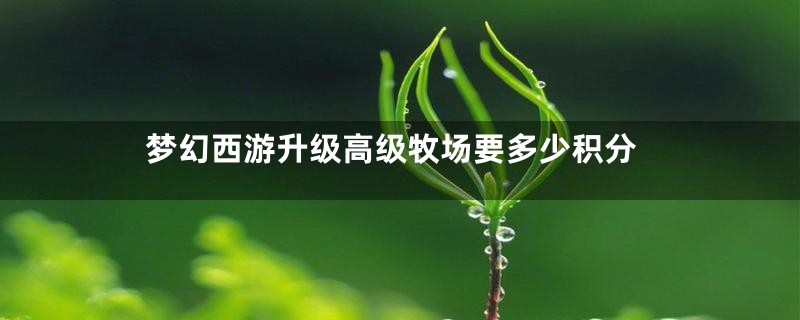 梦幻西游升级高级牧场要多少积分