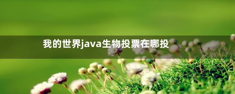 我的世界java生物投票在哪投