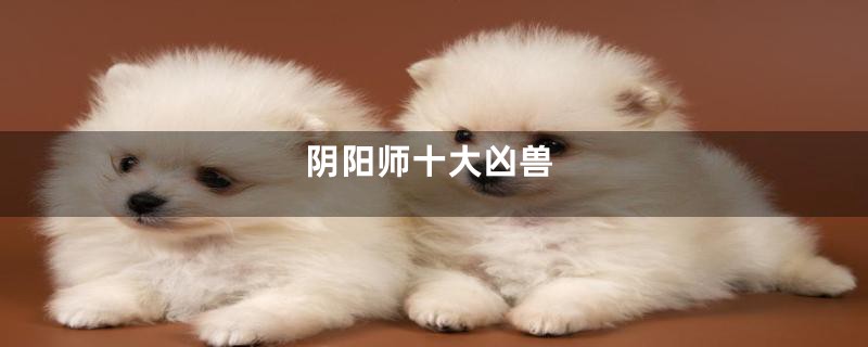 阴阳师十大凶兽