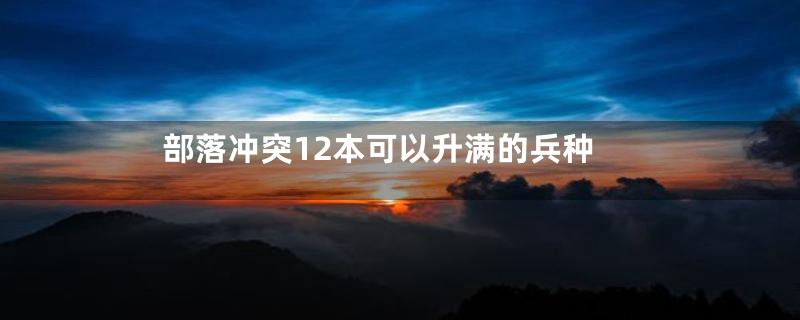 部落冲突12本可以升满的兵种