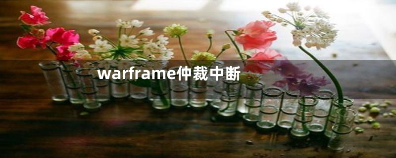 warframe仲裁中断