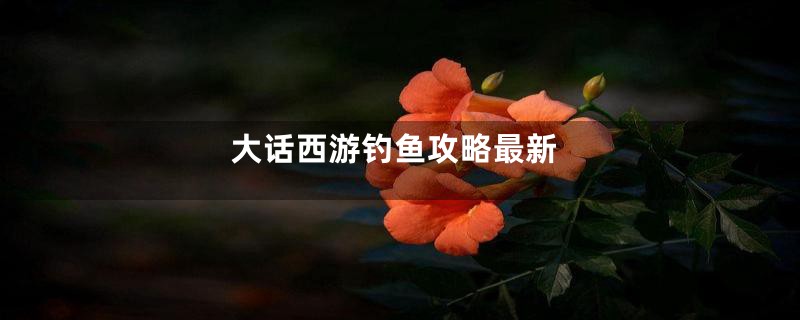 大话西游钓鱼攻略最新