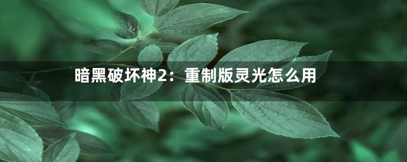 暗黑破坏神2：重制版灵光怎么用