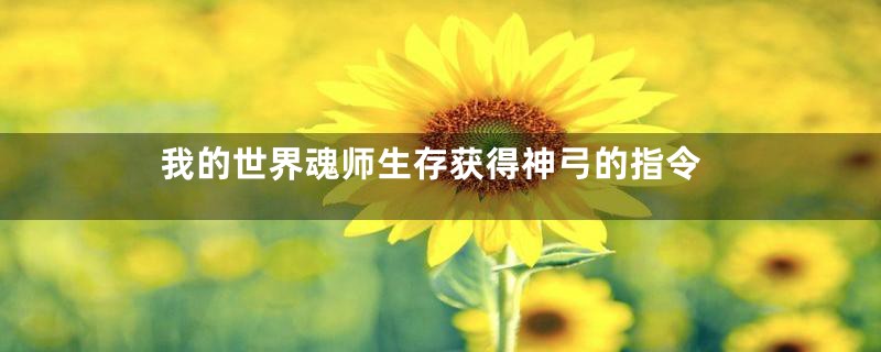 我的世界魂师生存获得神弓的指令