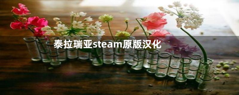 泰拉瑞亚steam原版汉化