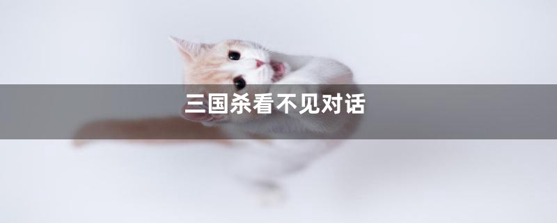 三国杀看不见对话