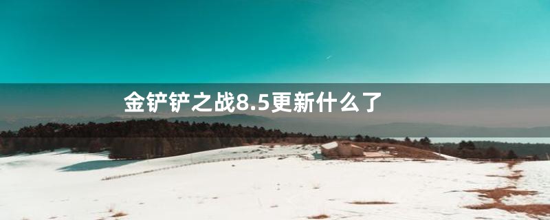 金铲铲之战8.5更新什么了