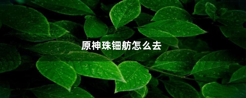 原神珠钿舫怎么去