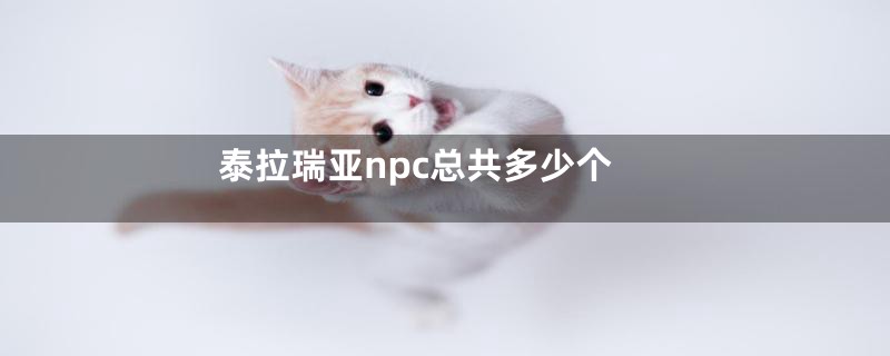 泰拉瑞亚npc总共多少个