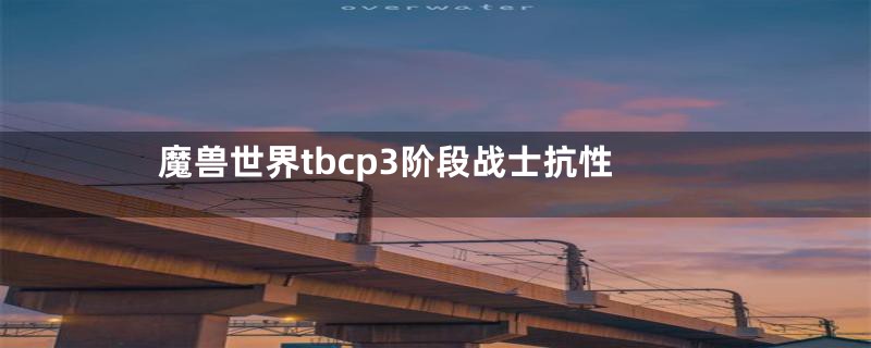 魔兽世界tbcp3阶段战士抗性