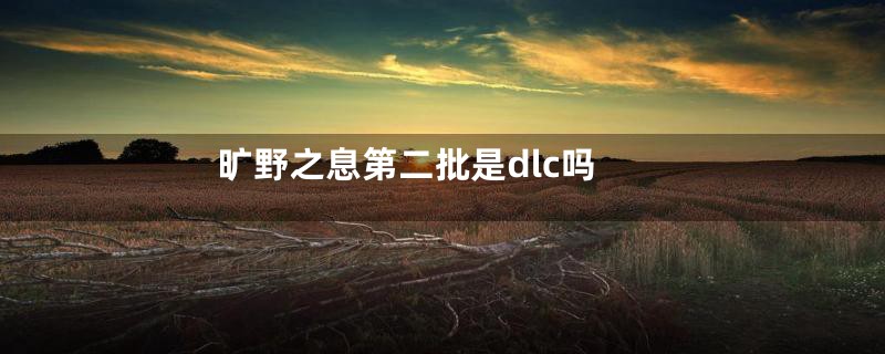 旷野之息第二批是dlc吗