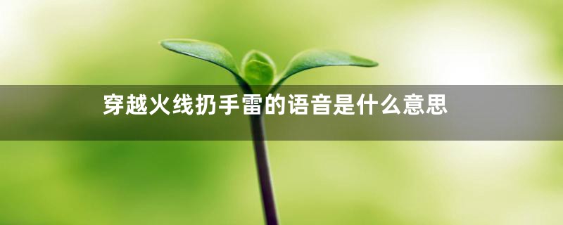 穿越火线扔手雷的语音是什么意思