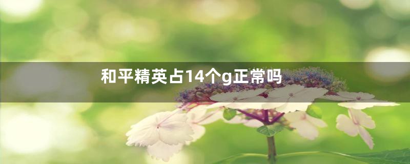 和平精英占14个g正常吗