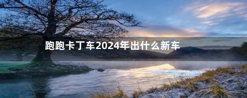 跑跑卡丁车2024年出什么新车