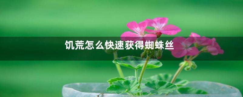 饥荒怎么快速获得蜘蛛丝