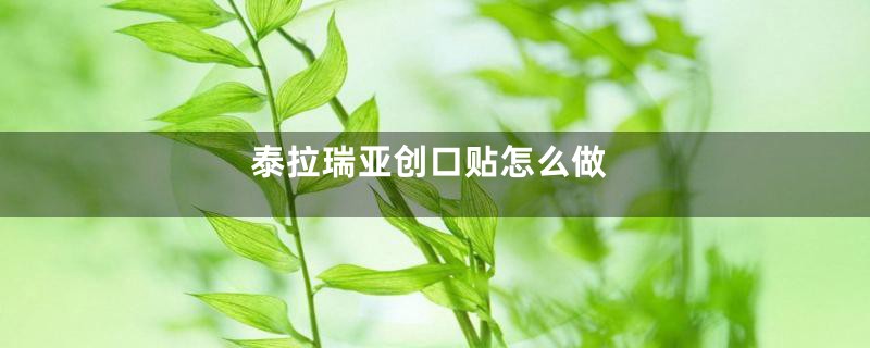 泰拉瑞亚创口贴怎么做