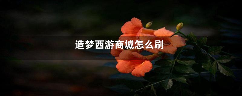 造梦西游商城怎么刷