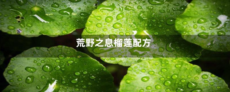 荒野之息榴莲配方