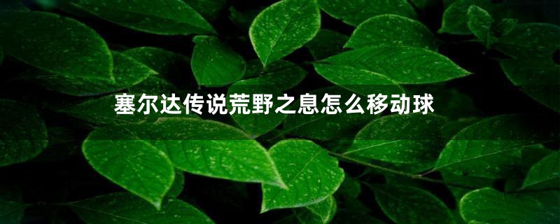 塞尔达传说荒野之息怎么移动球