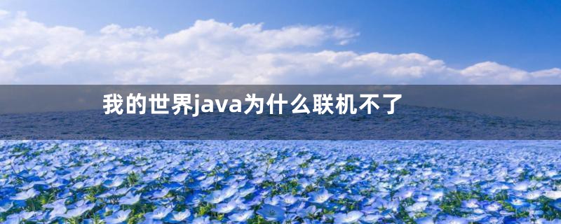 我的世界java为什么联机不了