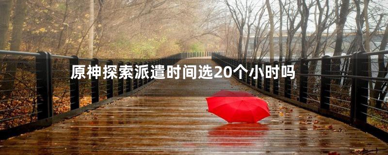 原神探索派遣时间选20个小时吗