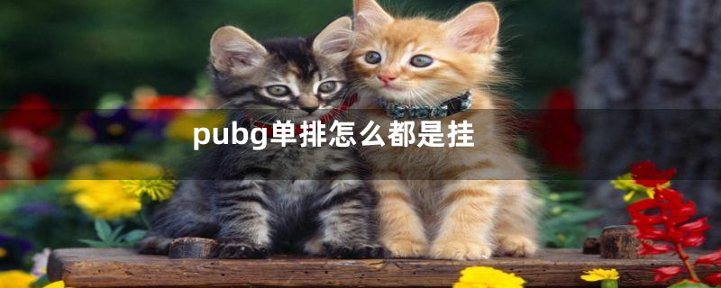 pubg单排怎么都是挂