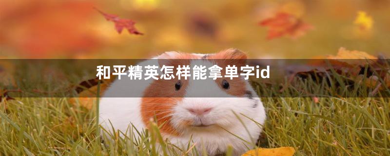 和平精英怎样能拿单字id