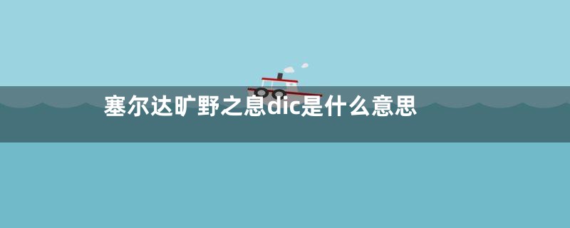 塞尔达旷野之息dic是什么意思