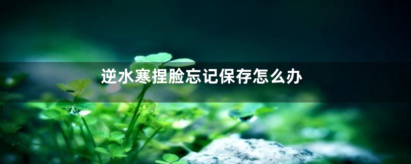 逆水寒捏脸忘记保存怎么办