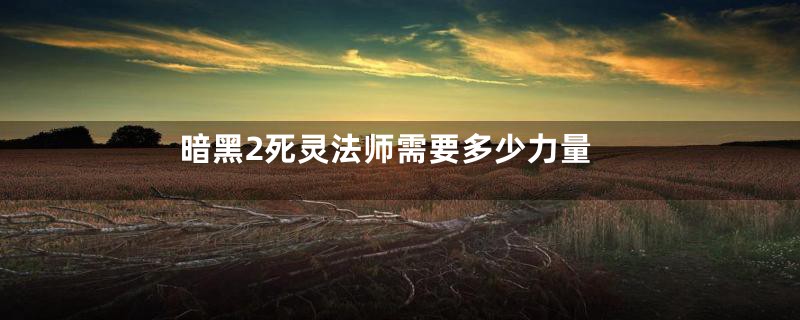 暗黑2死灵法师需要多少力量