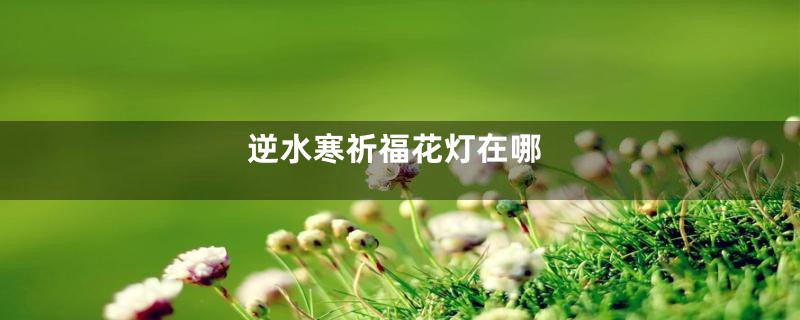 逆水寒祈福花灯在哪