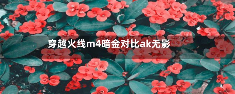 穿越火线m4暗金对比ak无影