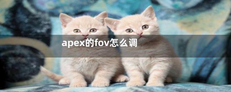 apex的fov怎么调