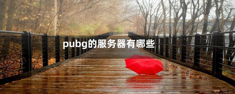 pubg的服务器有哪些