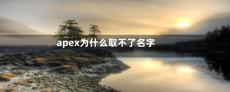 apex为什么取不了名字