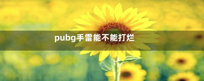 pubg手雷能不能打烂