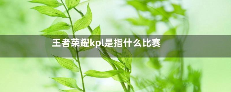 王者荣耀kpl是指什么比赛