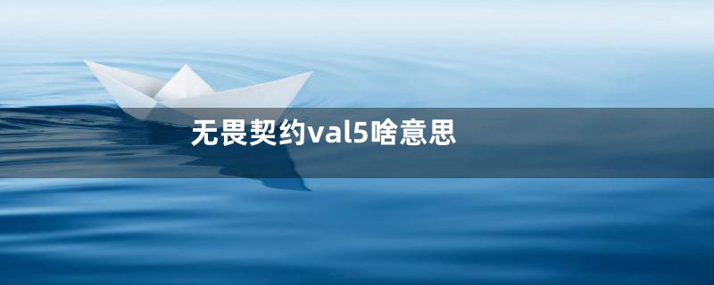 无畏契约val5啥意思