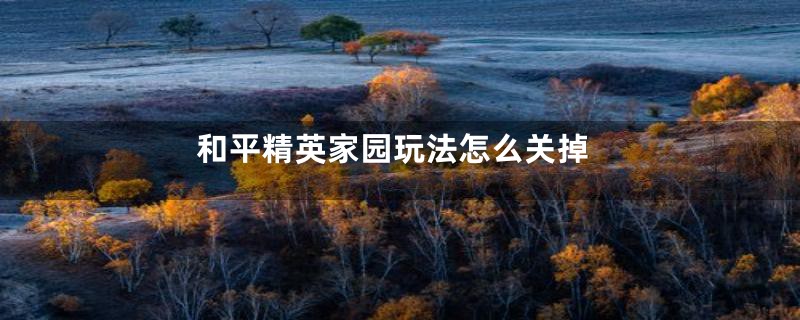 和平精英家园玩法怎么关掉