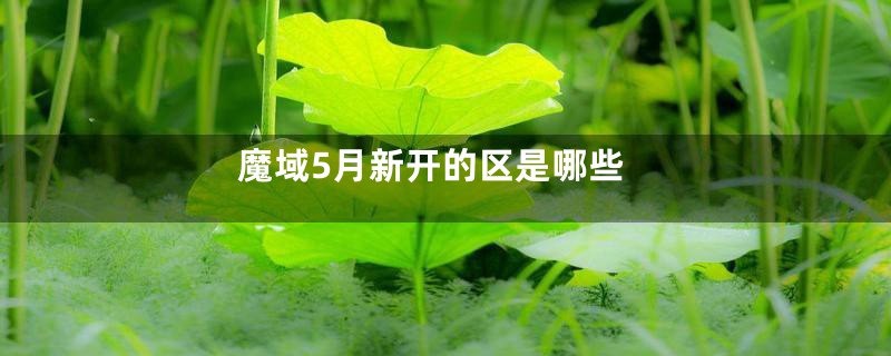 魔域5月新开的区是哪些