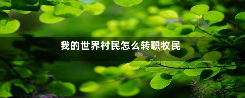 我的世界村民怎么转职牧民