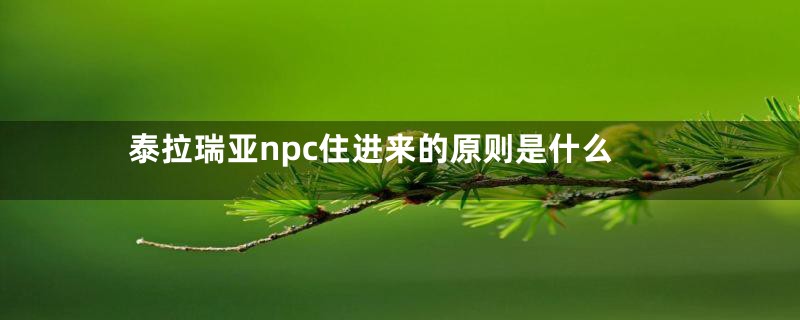 泰拉瑞亚npc住进来的原则是什么