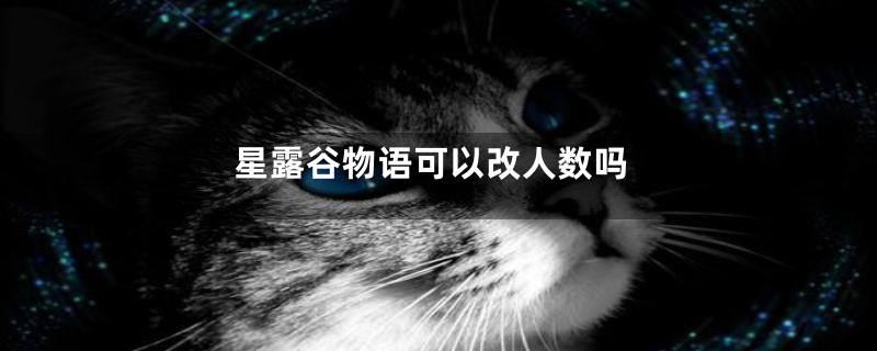 星露谷物语可以改人数吗